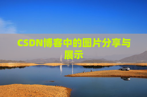 CSDN博客中的图片分享与展示
